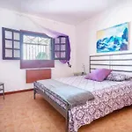 Summer Dreams House
